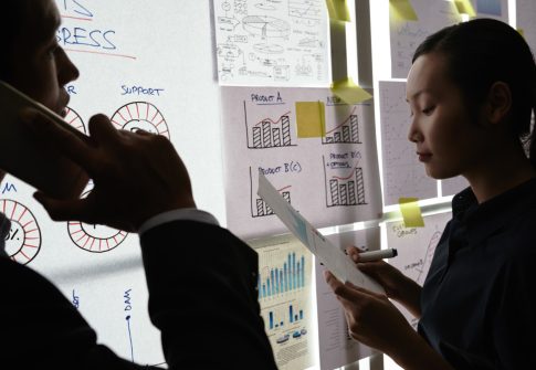 Capacity Development